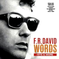 F. R. David - Words Hits & More (LP, Album)