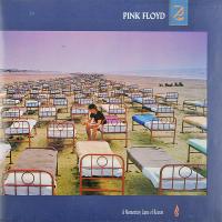 Pink Floyd – A Momentary Lapse Of Reason (LP, Album, Gat)