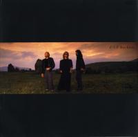 Bee Gees - ESP (LP, Album, DMM)