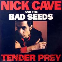 Nick Cave & The Bad Seeds - Tender Prey