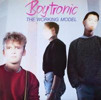 Boytronic - The Working Model