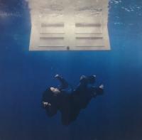 Billie Eilish - Hit Me Hard And Soft (Poster)