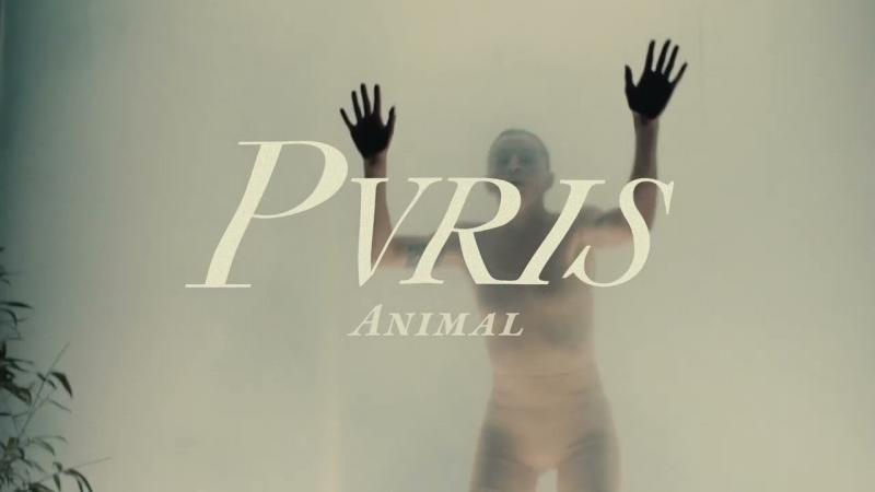 Синглы PVRIS