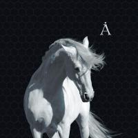 Аквариум – Лошадь Белая (LP, Album, RE, 180)