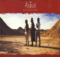 Aswad - Distant Thunder (1st German press)