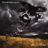 David Gilmour - Rattle That Lock