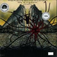 The Future Sound Of London – My Kingdom (Re-imagined) (RSD 2018) (LP, Album, Ltd, Numbered)