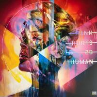 P!NK - Hurts 2B Human