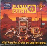 Public Enemy - What You Gonna Do When The Grid Goes Down? (LP, Album, S/Edition)