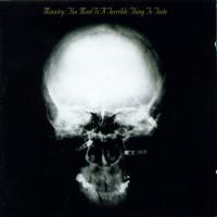 Ministry - The Mind Is A Terrible Thing To Taste (LP, Album, RE, 180)