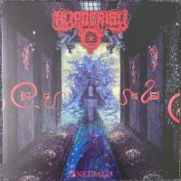 Hypocrisy - Penetralia (LP, Album, Ltd, RE, RM, Gre)