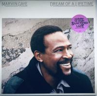 Marvin Gaye - Dream Of A Lifetime (LP, Album)