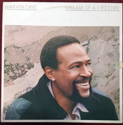 Marvin Gaye - Dream Of A Lifetime (LP, Album, RE)