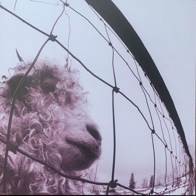 Pearl Jam – Vs. (LP, Album, RE, RM, Repress, Clear, 30th Anniversary)