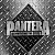 Pantera - Reinventing The Steel (LP, Album, RE, RM, + LP, Comp)