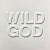 Nick Cave & The Bad Seeds – Wild God (LP, Album)