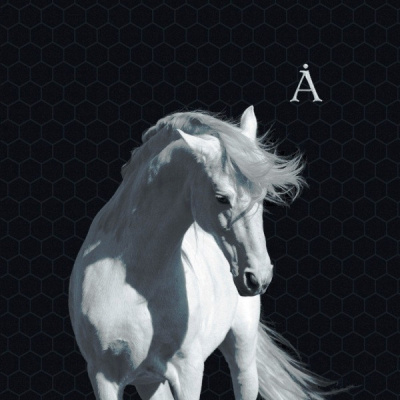 Аквариум – Лошадь Белая (LP, Album, RE, 180)